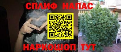 Альфа ПВП Кимры