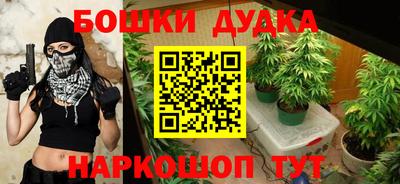 гашиш Кингисепп