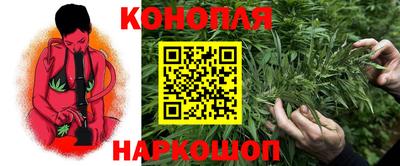 гашиш Кингисепп