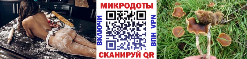 Псилоцибиновые грибы ЛСД  Чебоксары 