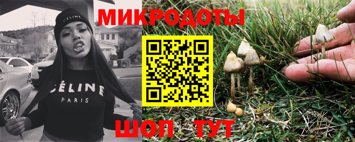 Псилоцибиновые грибы MAGIC MUSHROOMS Чебоксары