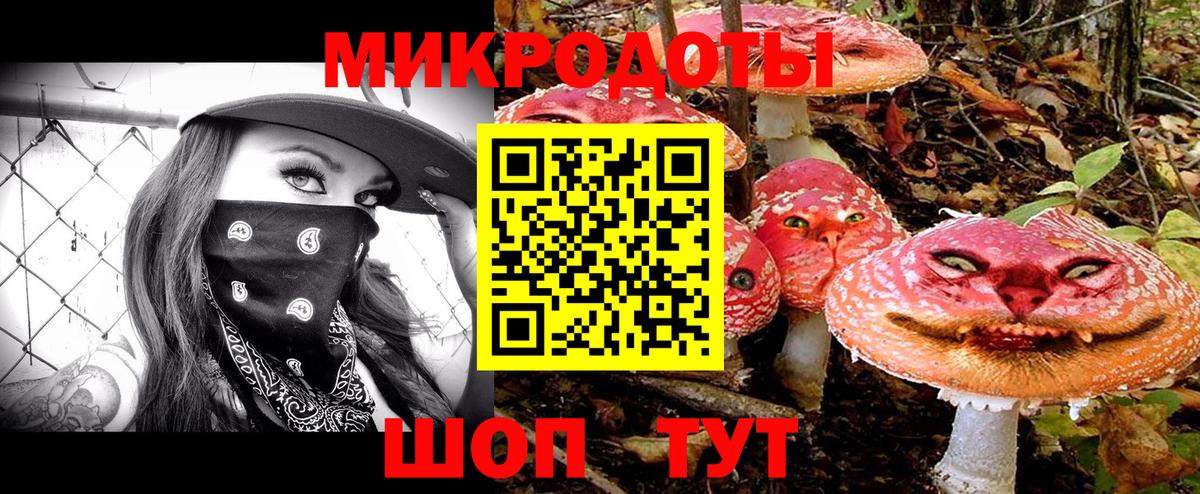 Галлюциногенные грибы прущие грибы Чебоксары