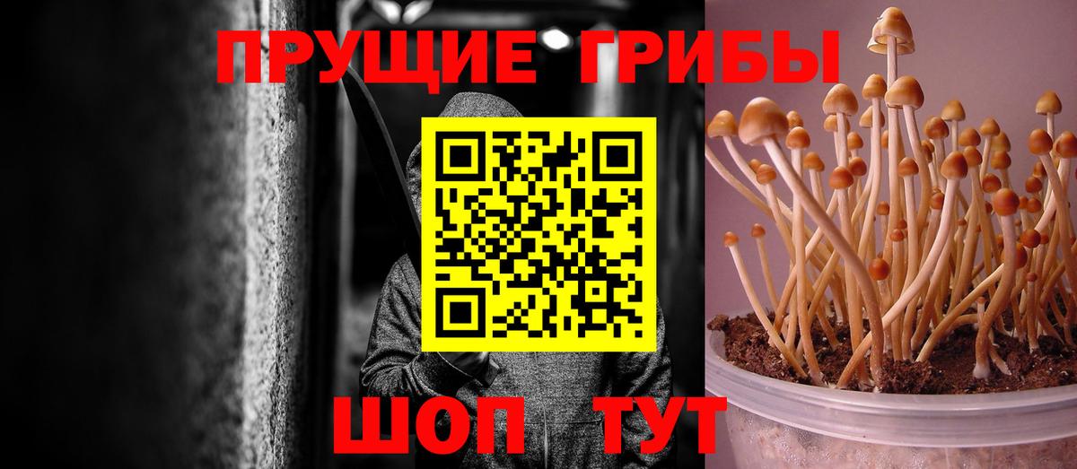 Псилоцибиновые грибы MAGIC MUSHROOMS  Вход с VPN  Чебоксары  Галлюциногенные грибы ЛСД 